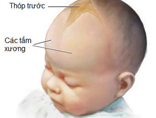 Làm sao để biết thóp bé sơ sinh đóng hay chưa?