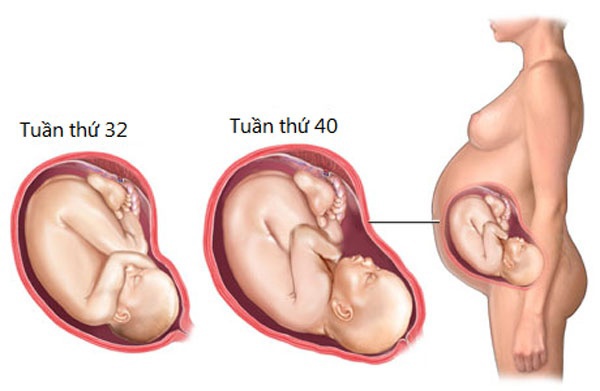 Khám thai 3 tháng cuối thai kỳ 