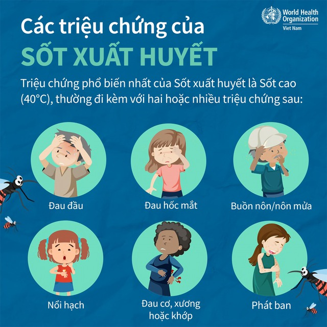 LÀM GÌ KHI BỊ SỐT XUẤT HUYẾT? LỜI KHUYÊN TỪ CHUYÊN GIA