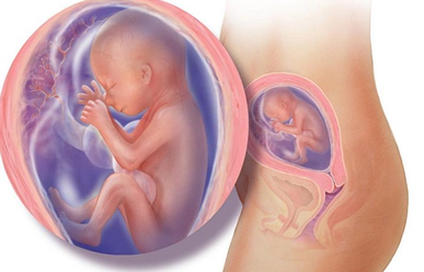 CÁC DẤU HIỆU BÁO CHUYỂN DẠ SINH NON